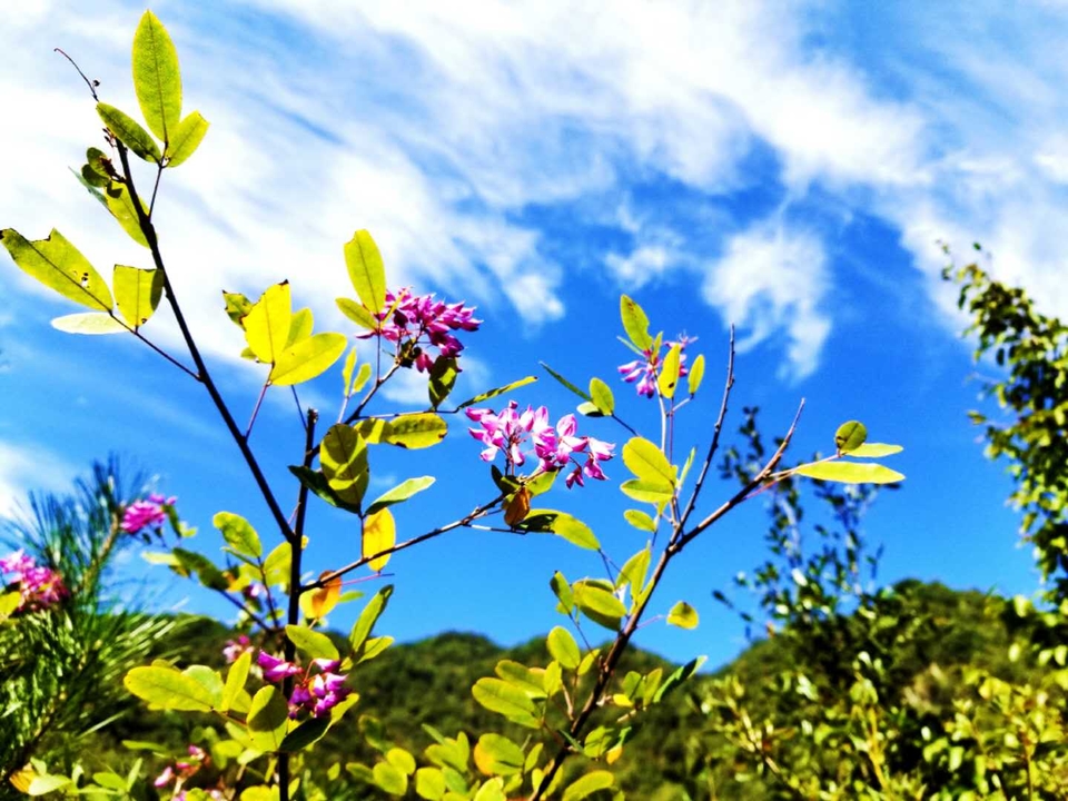 DBU9Wa5P0SMlElXJSkkQnDGpS87nQ929LAQMQZoQ2GBj7zFT-n1oLQ7z1jpLCb5p