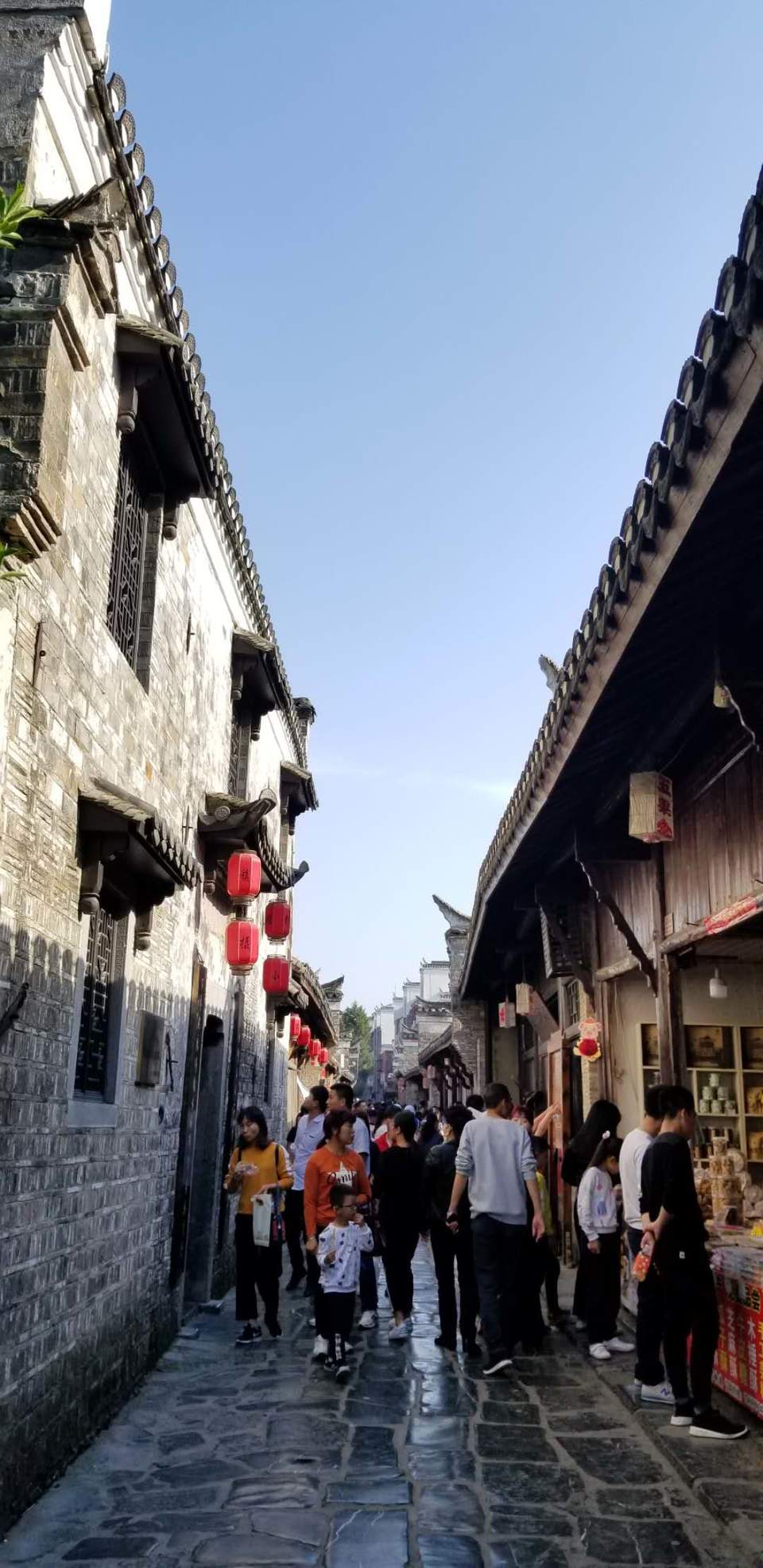 Hodwn247XYmEBi8puCxe9hTfSdwuOyV7q_dT1a2i9tZHEw29I1-LDh6WnFeEN_50