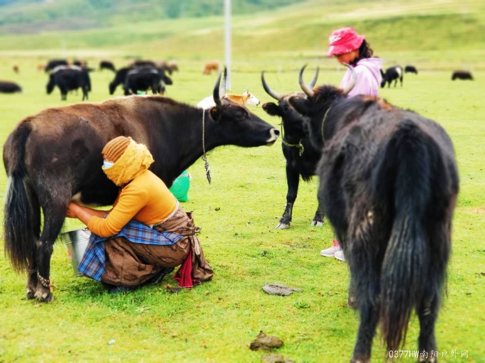 bWiWU95tUtDGsKNODHEHQgXbUFNrm8gMeBUnk-mXZ4070hceI1gHJFkgilcCRDdf