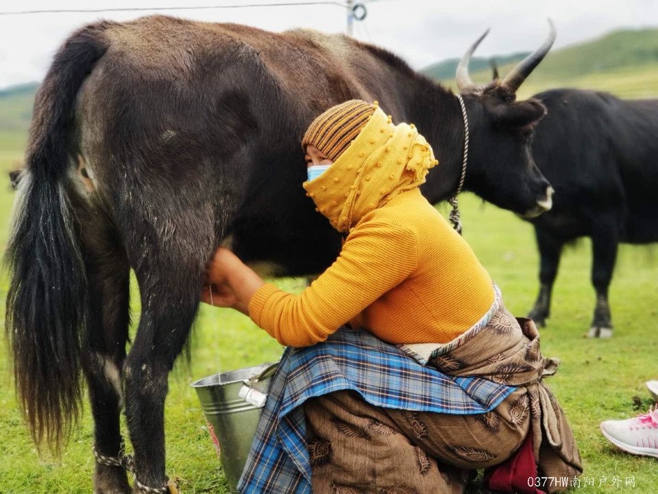 IkkuIhCg8Pn2-_KJR39Zbd8XBXpW-uNfC2nldqdIjBF-q5Yxbqk37bFRsejS-iSa