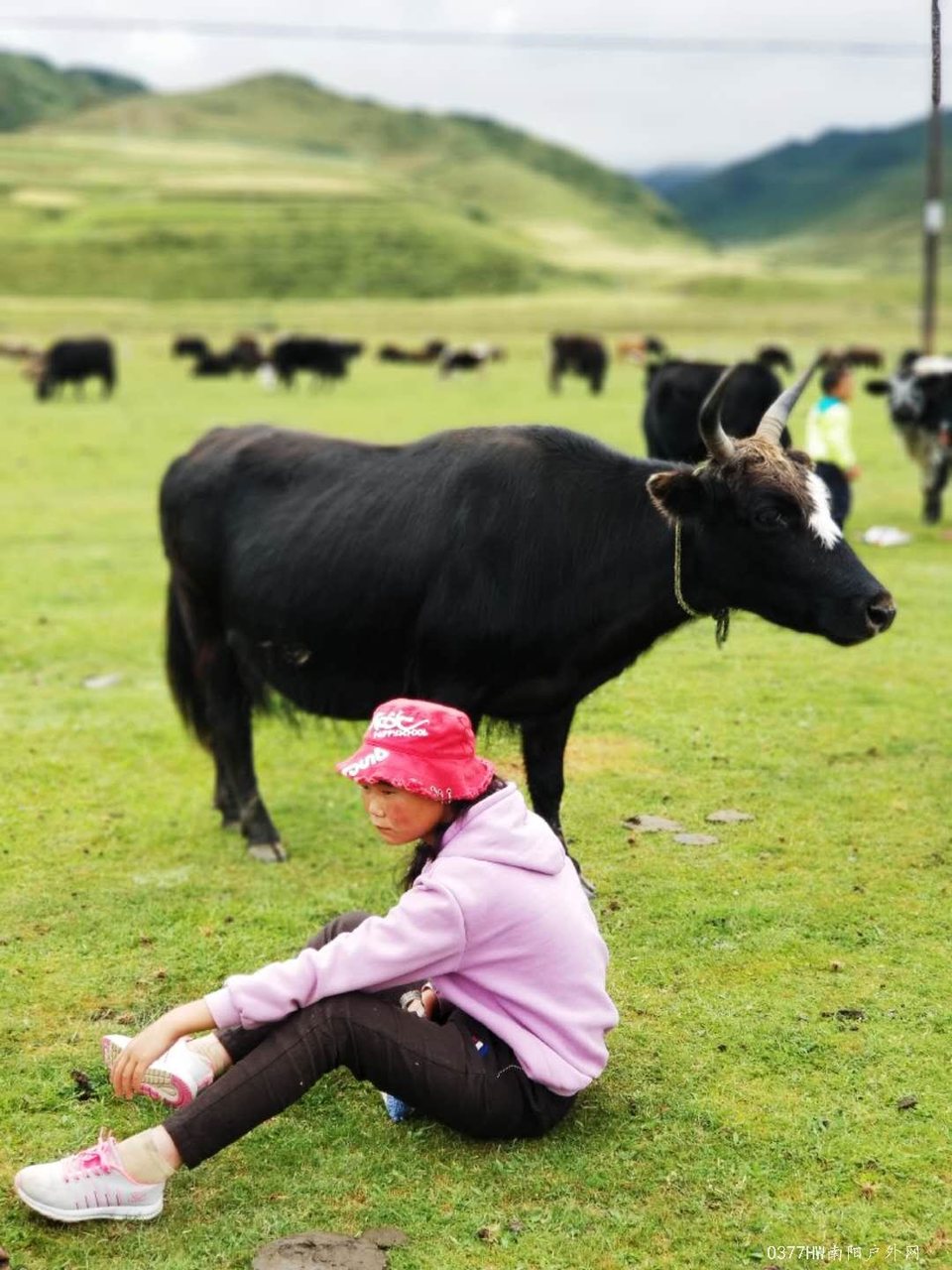 RwBckctft6wP0Yf4y97_Ztya-ruaLpsrSvNFOKKKNLnNKjo6qstYzKRpkTXNga-v