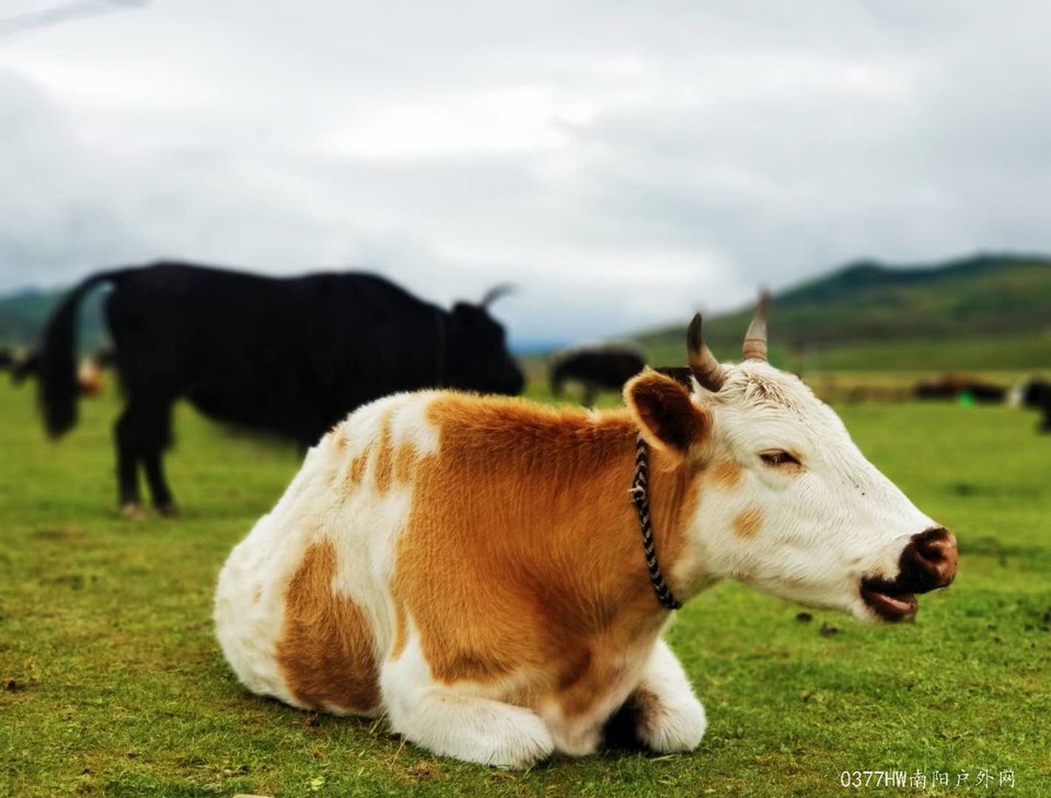 GLm0wnLumXk9EE47o9Zr3fi4rlV9SVJA374JrNlA5dSRQ1p3ukQzZATdr3-I3H5K