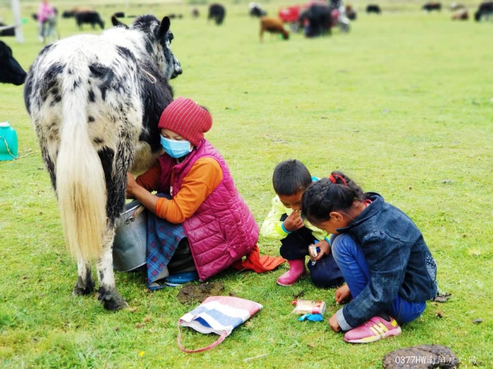 zME0DuHy4Wii076XG0d1Nw2VgQES53hKmbGLPKYGMwUjsCaCr0dcrd1uzOSwhdPA