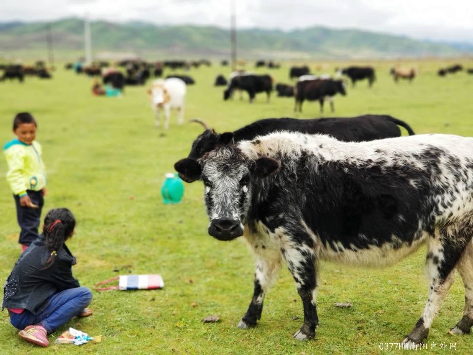 _W8pZJ34TcbQ4B5r9IYqLKRos6v9wfA6EQuy1cUqdQPMGK5Jvwd81M2mWsbsbFBV