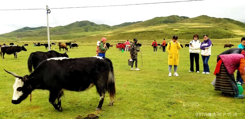 FlurAJt73W8Terp8-ducA6BigYUR44rdr7qmYztGy0OYX13_gRsN4On0VLlhlizF