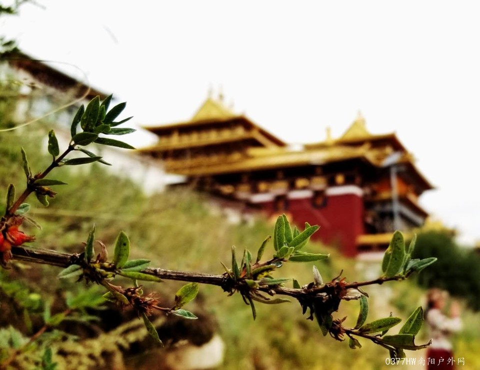 Jn-DvbDVcN3o_llLFIavgjnpPtggBS6xea2SIAQl40BeMFF9-RDwxP_WvIdp8Nfc