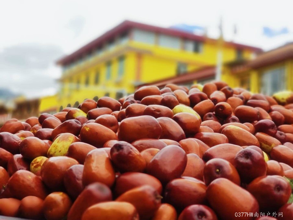 40ffn2NhsweXhI75M-N2zFWTH8xT6cWFIggyaSTgtjKvDEaGDhsDvcatBjz9_77A