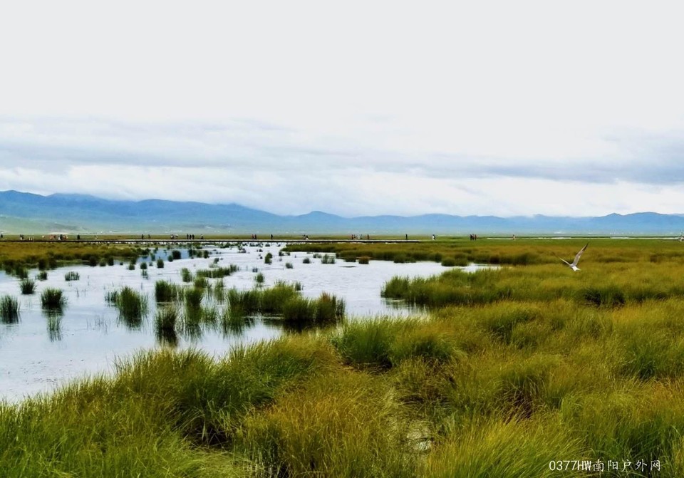 opF3s7j0HcNtYzjIqXc95hTTjKfqv8WQGuAw_s8zDnGUe8dcuL2czYU3QdgQLqkT