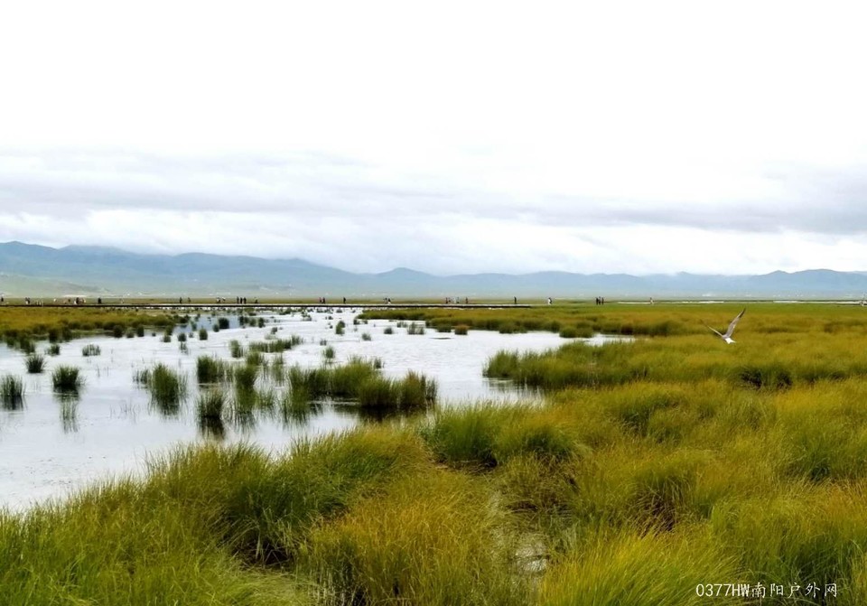 TJXO3Esf2obhCvmC3SbIa78v1tQKe-qHb2qy9Qrujpqo9yrEGpU5Hyb5HE4-TNRP