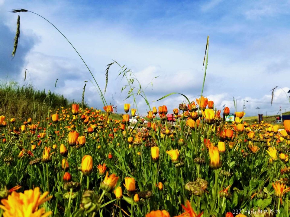 gAMcvmj0c35wMAEJtmFFh70vG_FLDdLHpgrd_XqZvwfYEXPeiCo-L2Ha7VVOe3if