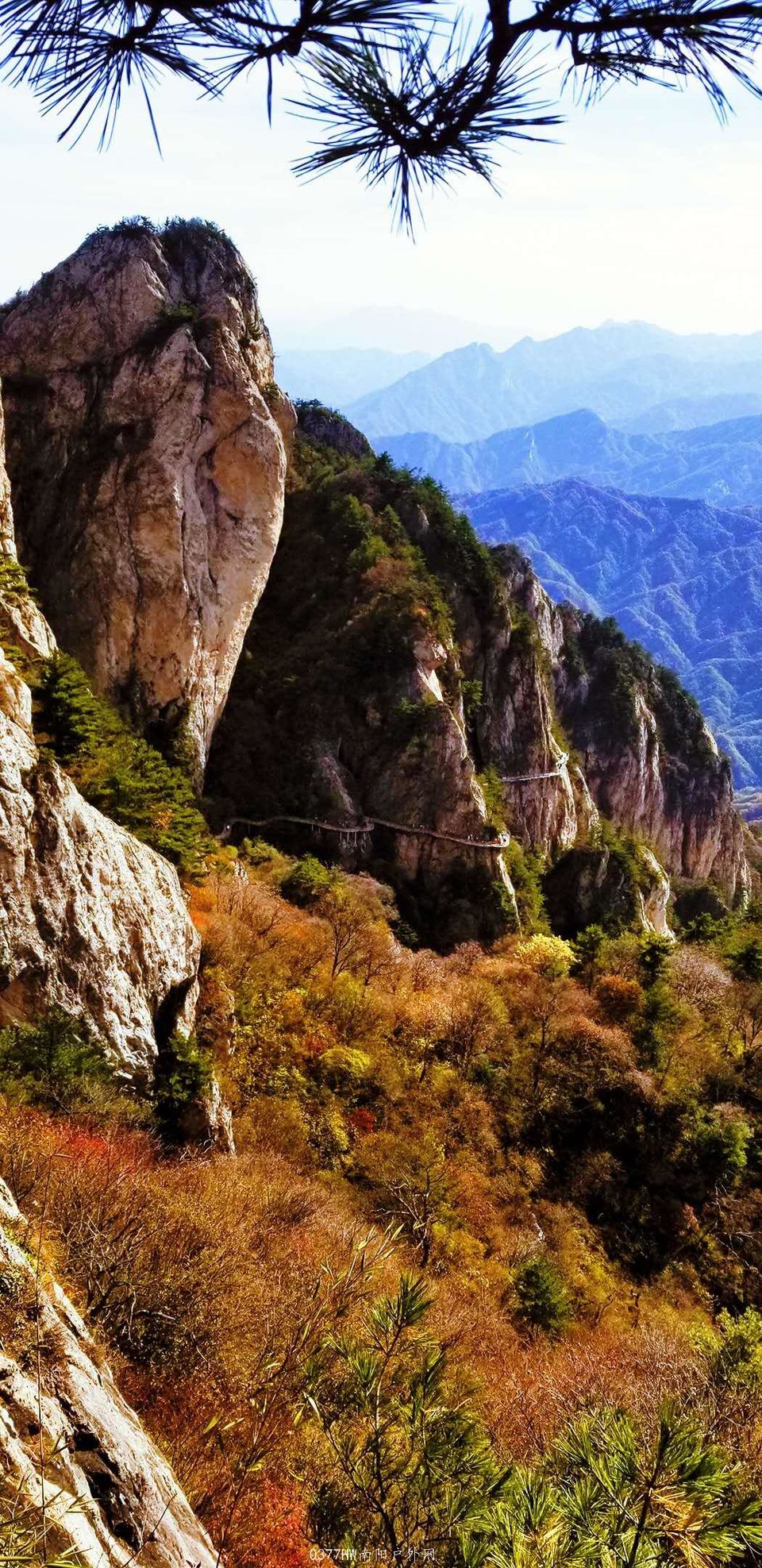 WaoiflUy5Iaz3cn565j_MkUo55xSd3gVkeJmcumRBJwaf03EtnVQMMG1wrkiQSga