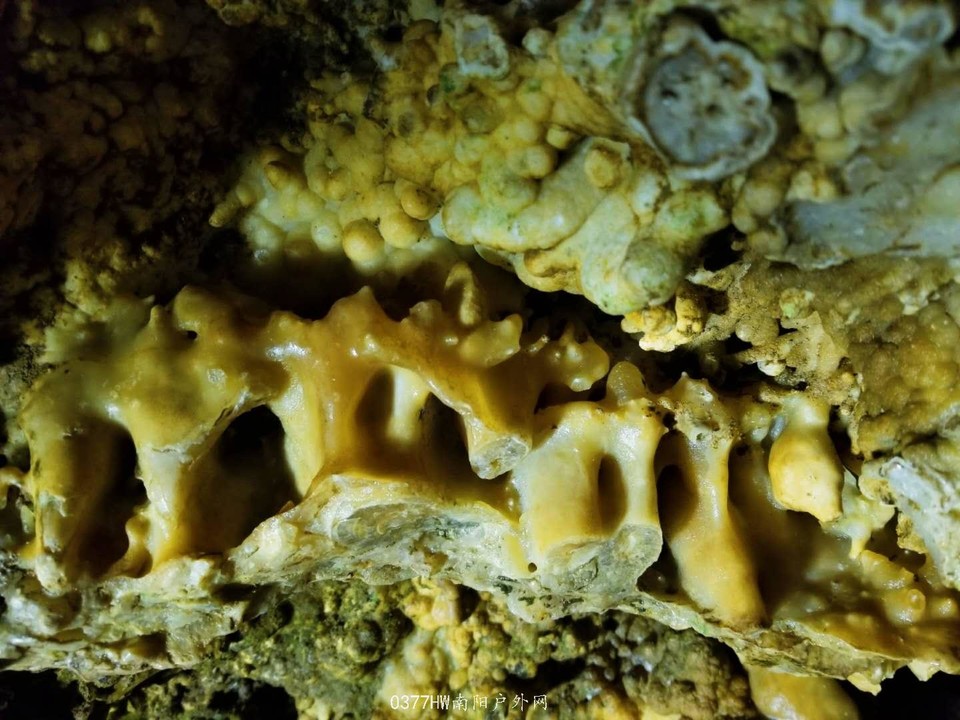 KuT2pmLQh5i5THl-o7fzJ5XrjANWkfpvWmWlaTXFk0vQE61dmpoupgF4XYWkLQyi