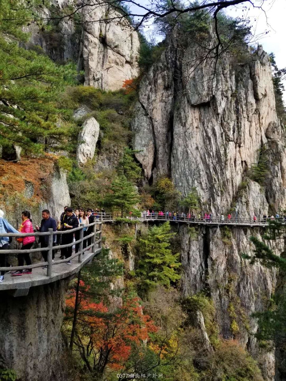 3LrCMojzLXXUmb9hZMtg8aeZ5kIoyApfXgsMFTj4C4L3UTWZnPT6kF4LbX8w8bkd