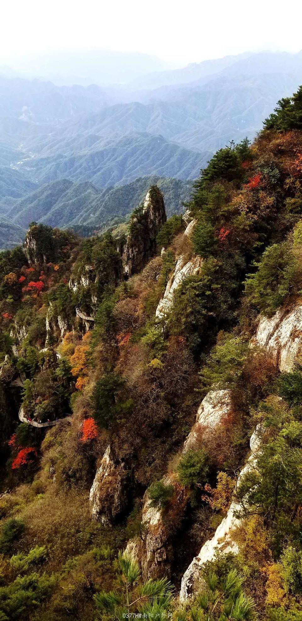 TRhfJJUbhf2yVYY_Ug3RRl8GX7Ib6sRK3In1RCQvzHf-vERiqYG0gfFD-x8MKIML