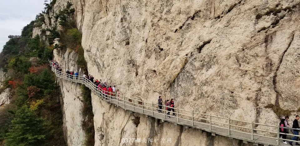 oheGQcPijyzDgemJIzAmfKs1ZiGk5k2O9zDF-FgbNmEKunUbNacfoVHrkfhqv8zL