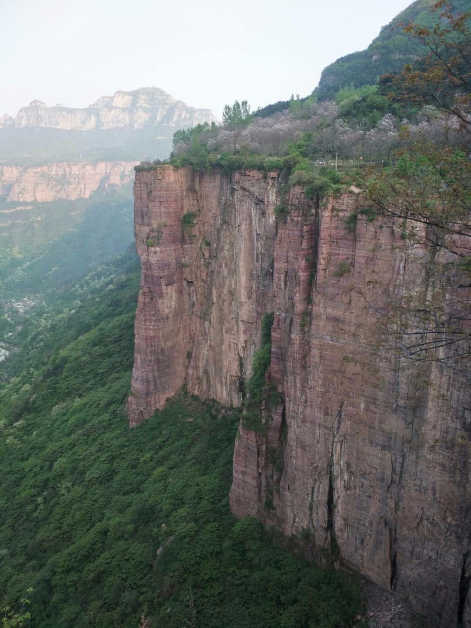 mmexport1525006080770