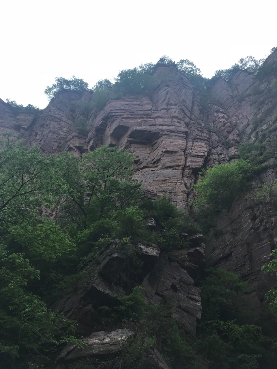 26AAA6C8-1DA4-4DC6-8773-7DA797758397