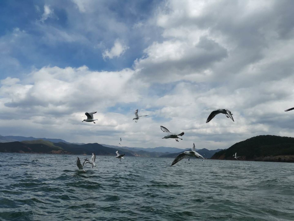 9PXKSvNG1_ReCacpqybg-r_ArA7ge5nQLkm-Gv2aWRvrvYMaAGbylfm6SNe0a7HU