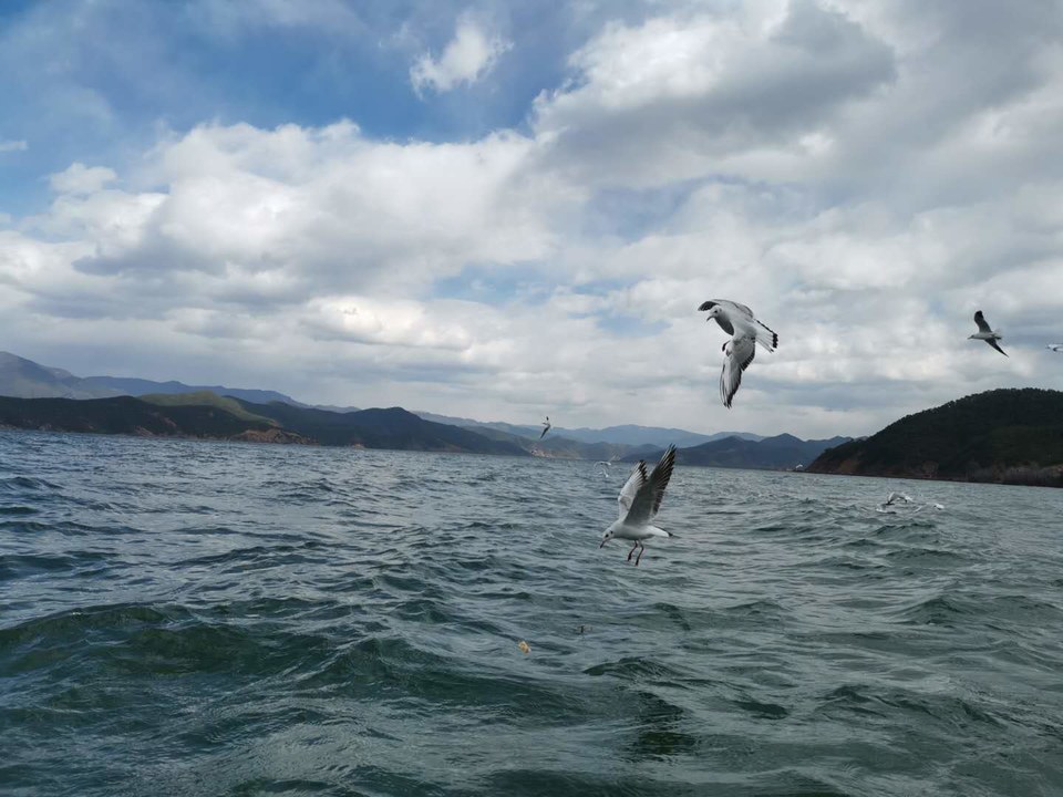 zW3eOQNlyLoyhZTLUYXZID_Ocq3jAPt1OMpvrZDIyuP_NgzGeB52I96zVzZh8X8A