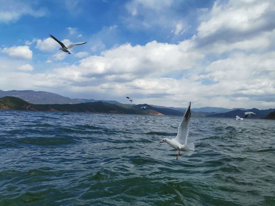 HC79bqPJg9tXzIrsKBrXPW2ujh_WDCpePQ9Tr761fPyM8FXkkVyF1Dk2MKvL1znX