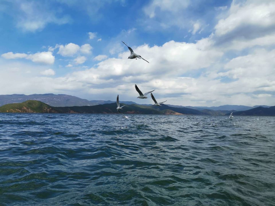 cV-nZbTMiVwhkOd11sWiKlVF_rR2a2MXupxrtc1nNtzh_xYtg5IbyRjEFRRpwmVW