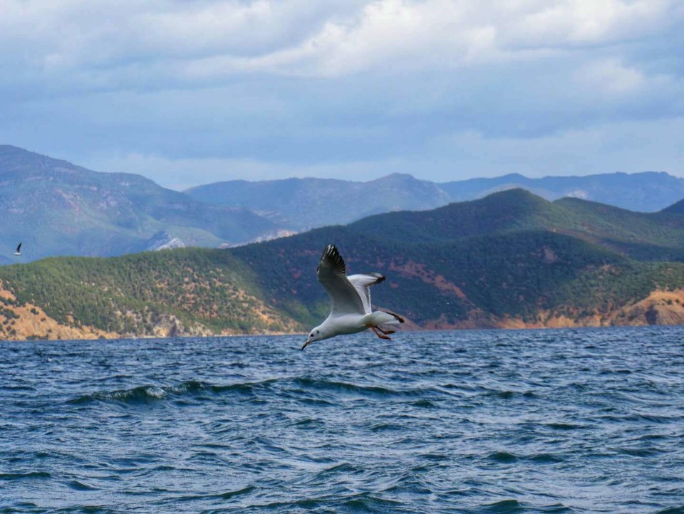 yvsDQLW4S3VGEU2FpdHgAcuTuoaBUxyl4y_MVM_3DVDVIO3Ge4Tci06qvNvXbEUL