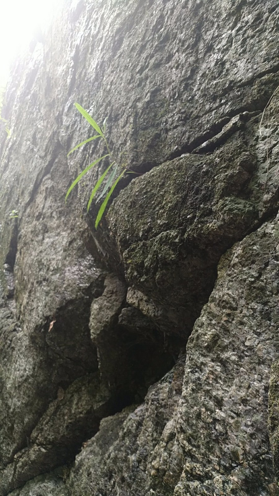 wx_camera_1524725571922