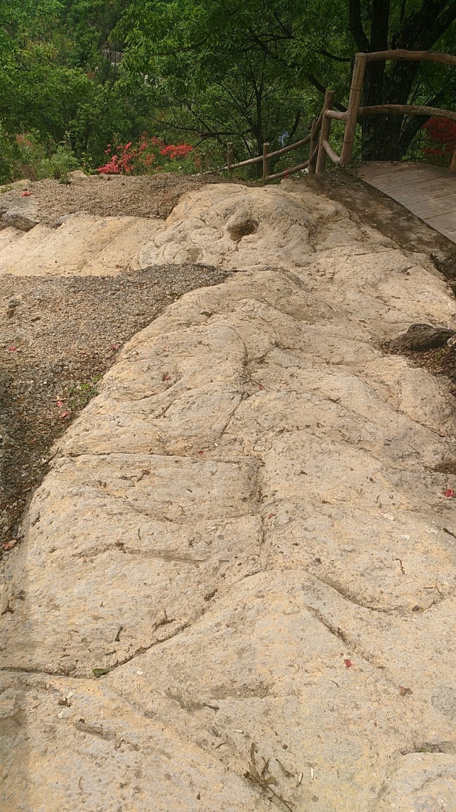 wx_camera_1524724670460