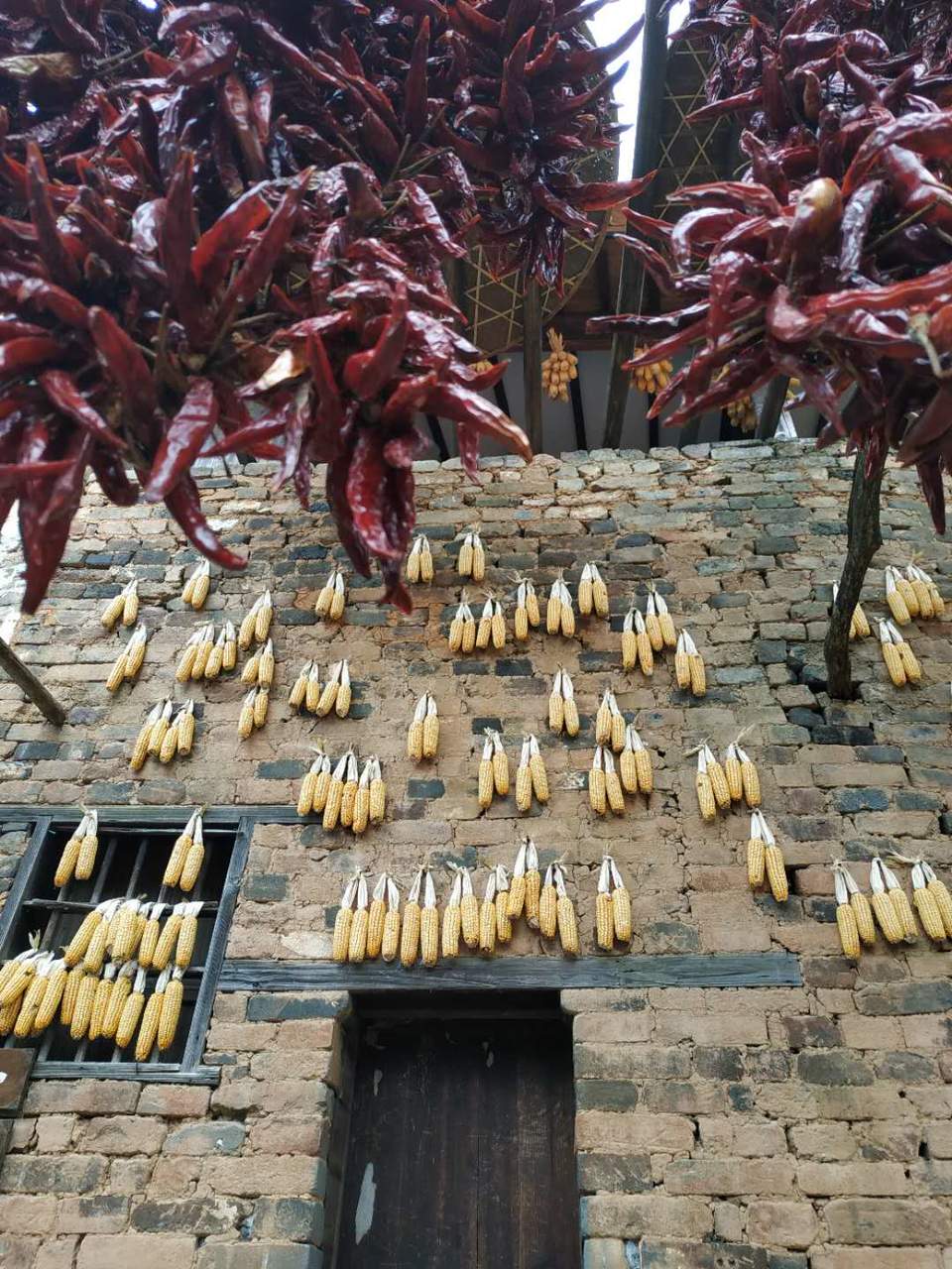 20_bUcaNoa8RWwOaXHKXfmLTv-cuq-bbWV6gsSecgxsBm3zSXxD4bqPX04wIv-8l