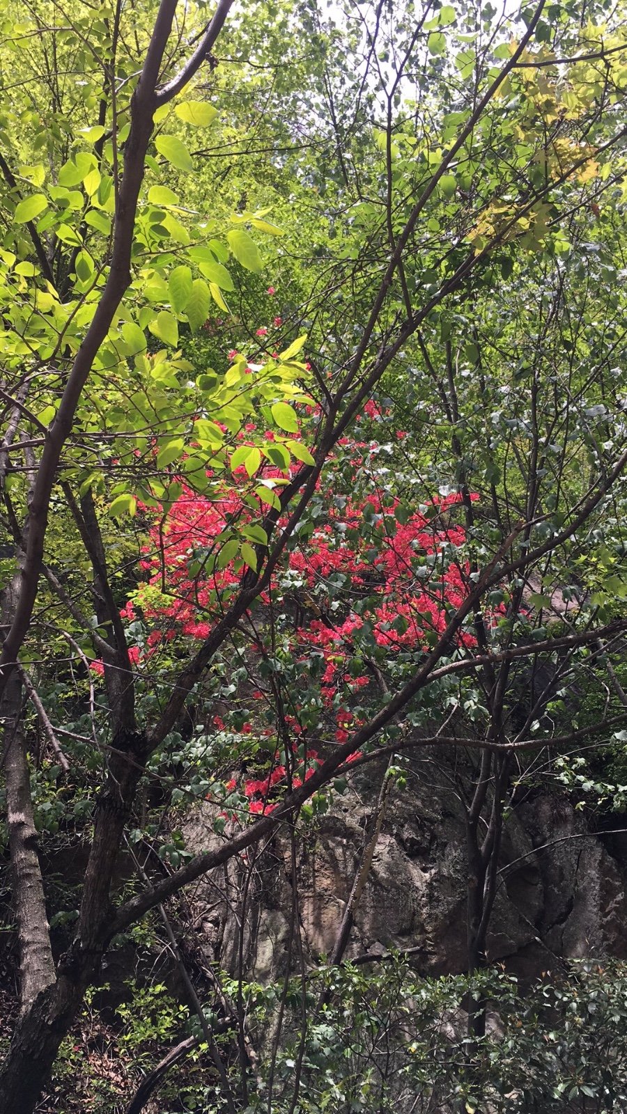 2F69ED14-7D05-4E7D-A93C-B61D5B1F5540