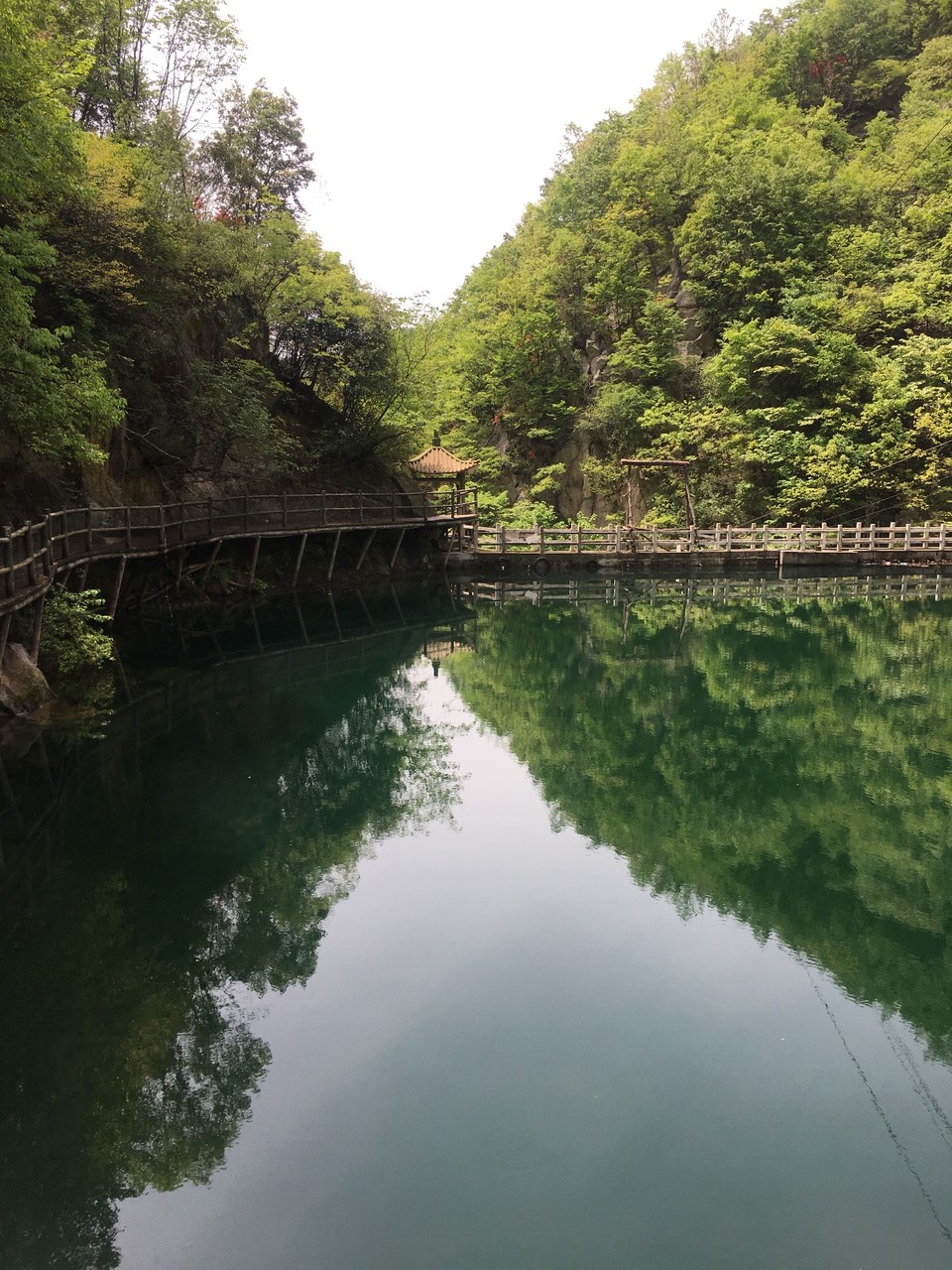 187200F3-2230-4BCD-B1E3-9B9F6A719557