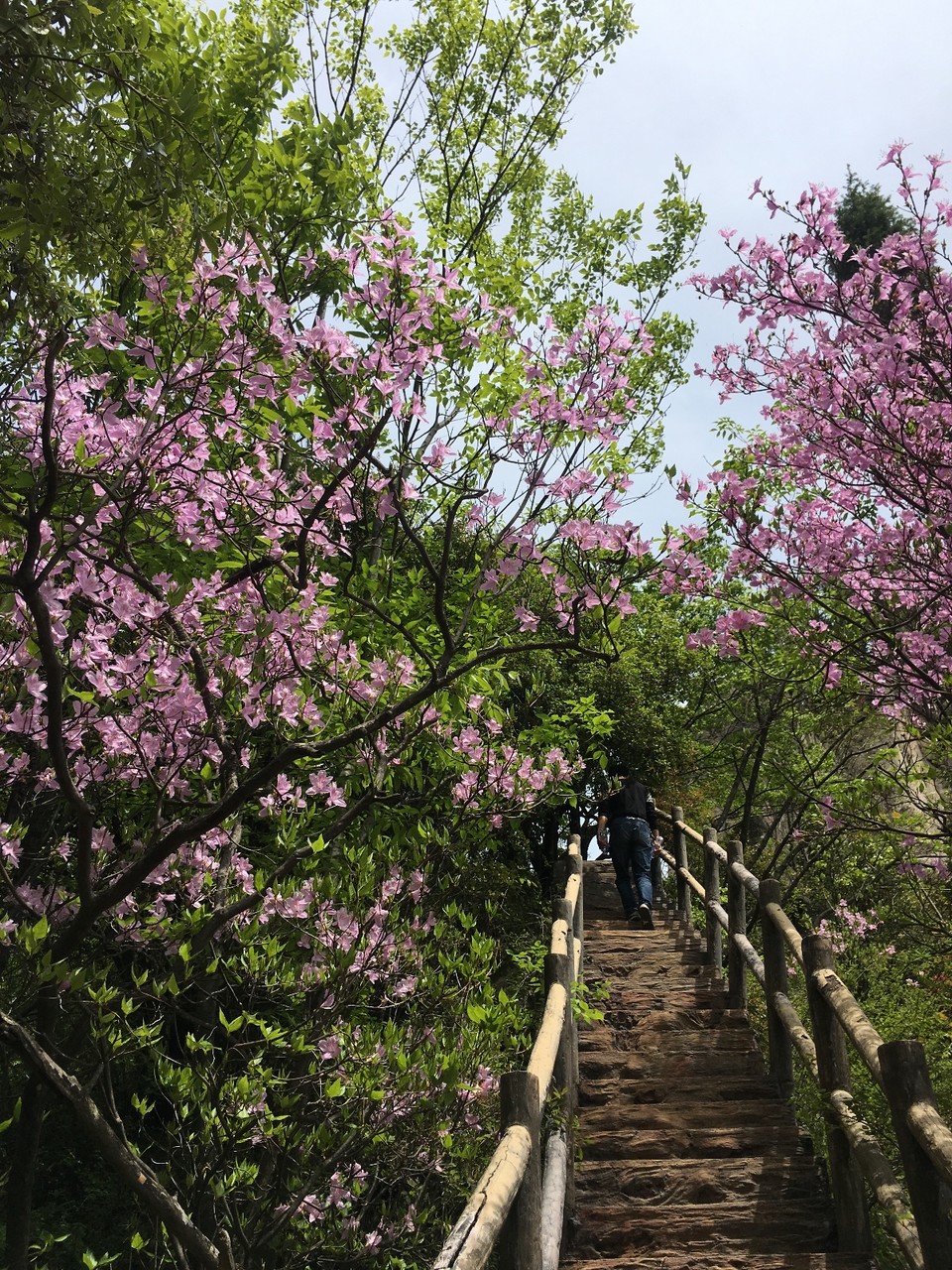 F00FE94E-0840-4AC9-BB6E-2C8994335B0E