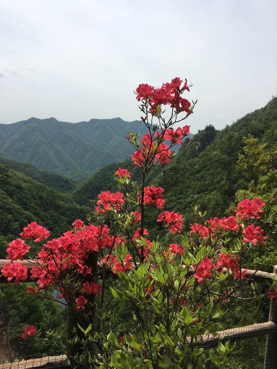 BA633ACD-9F53-4366-83E4-4AA11D6E13DE