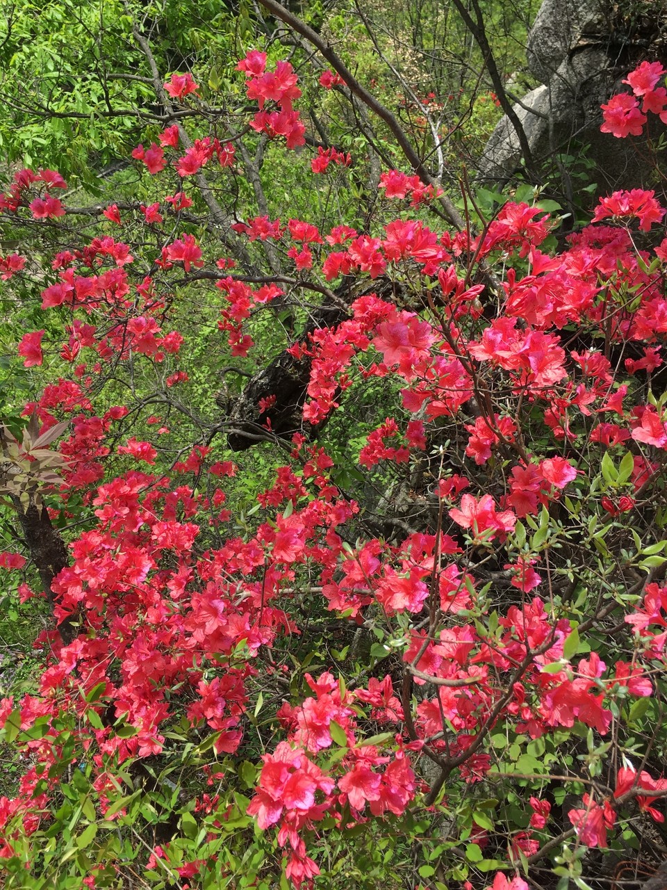 10197869-1212-4858-82C4-154BF323AFC7