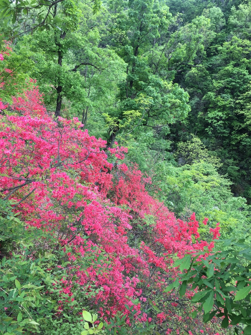 31477A10-C6B8-4A63-9760-F8F2C31934F8