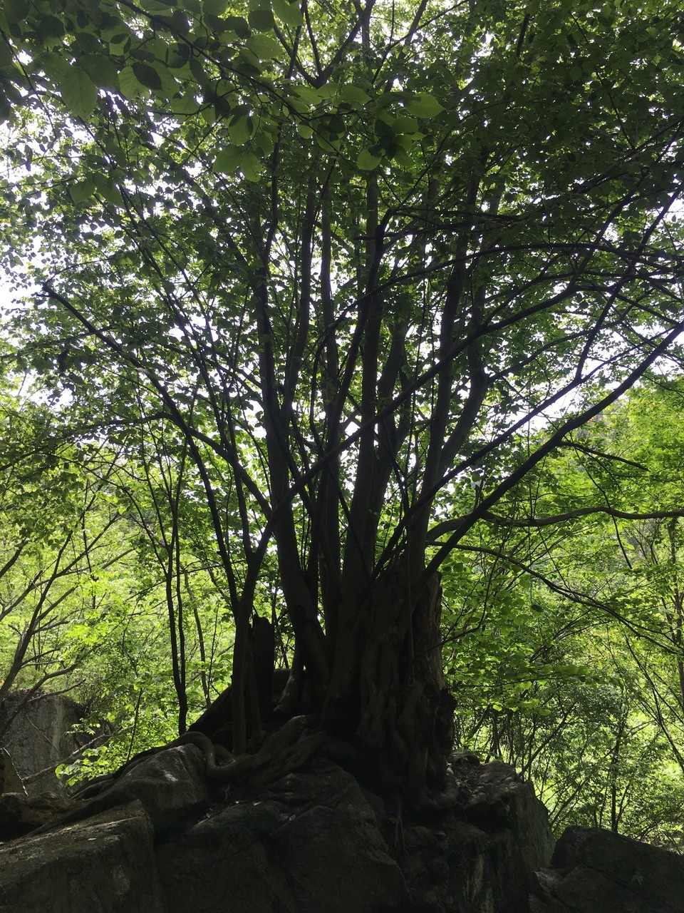 5E02D24B-9EF9-4F2A-8EFE-BD6AC1E1236E