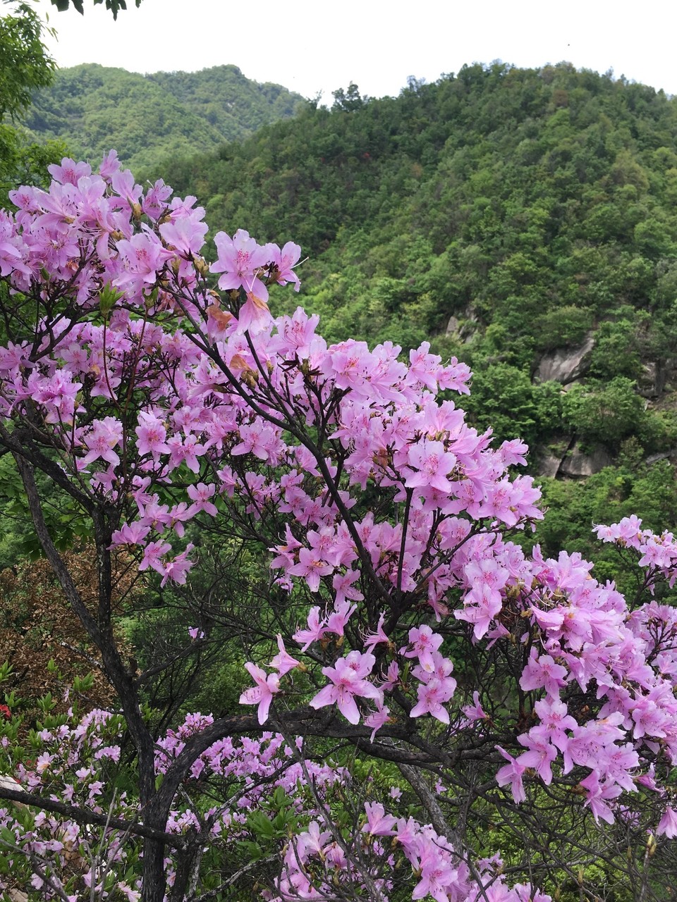 1956AD8F-220B-46FB-9790-DD8403D104AB