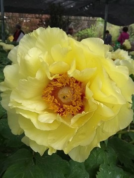 o3MpGCCcfFLxOxepqeNwIfRIjrzFK2-xMthsyp3pHHQ3YWqvH2Om_ddJak2Rxvaz