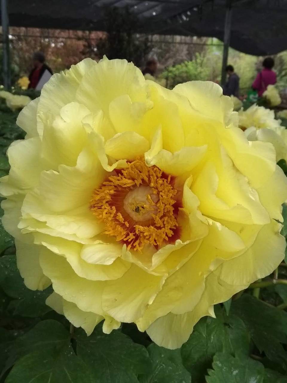 o3MpGCCcfFLxOxepqeNwIfRIjrzFK2-xMthsyp3pHHQ3YWqvH2Om_ddJak2Rxvaz