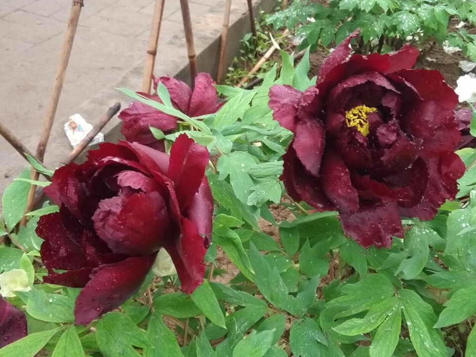 zkItjbYuDtc11KQweUXUZVi96AAtVLuG5aO0XQMRNThbHQoluxrZWYHGa_psohjz