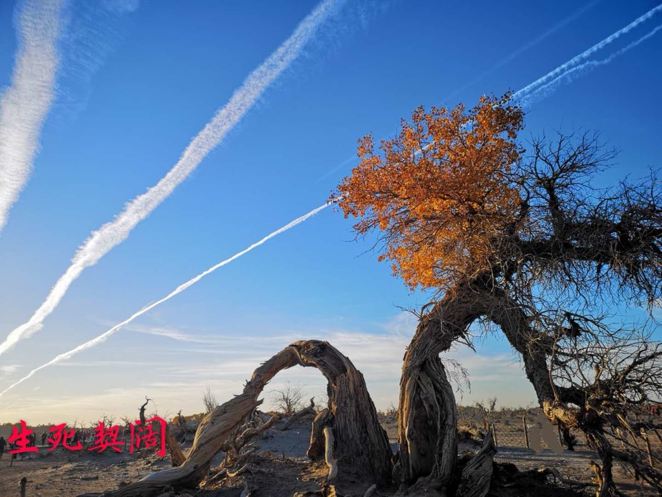 hVklpPz6vfZFHyDmlqnOCPKCmF1_ui8Z3jRItk5keayv8CPGC4O4um-EoK_6clsb