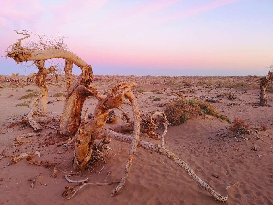 CVoMB23PX6tEsZt7hKCWYEe_ycb7ORxS5zu4CwOFEa8Kn5NonLm2137zw8Q4Q3aK