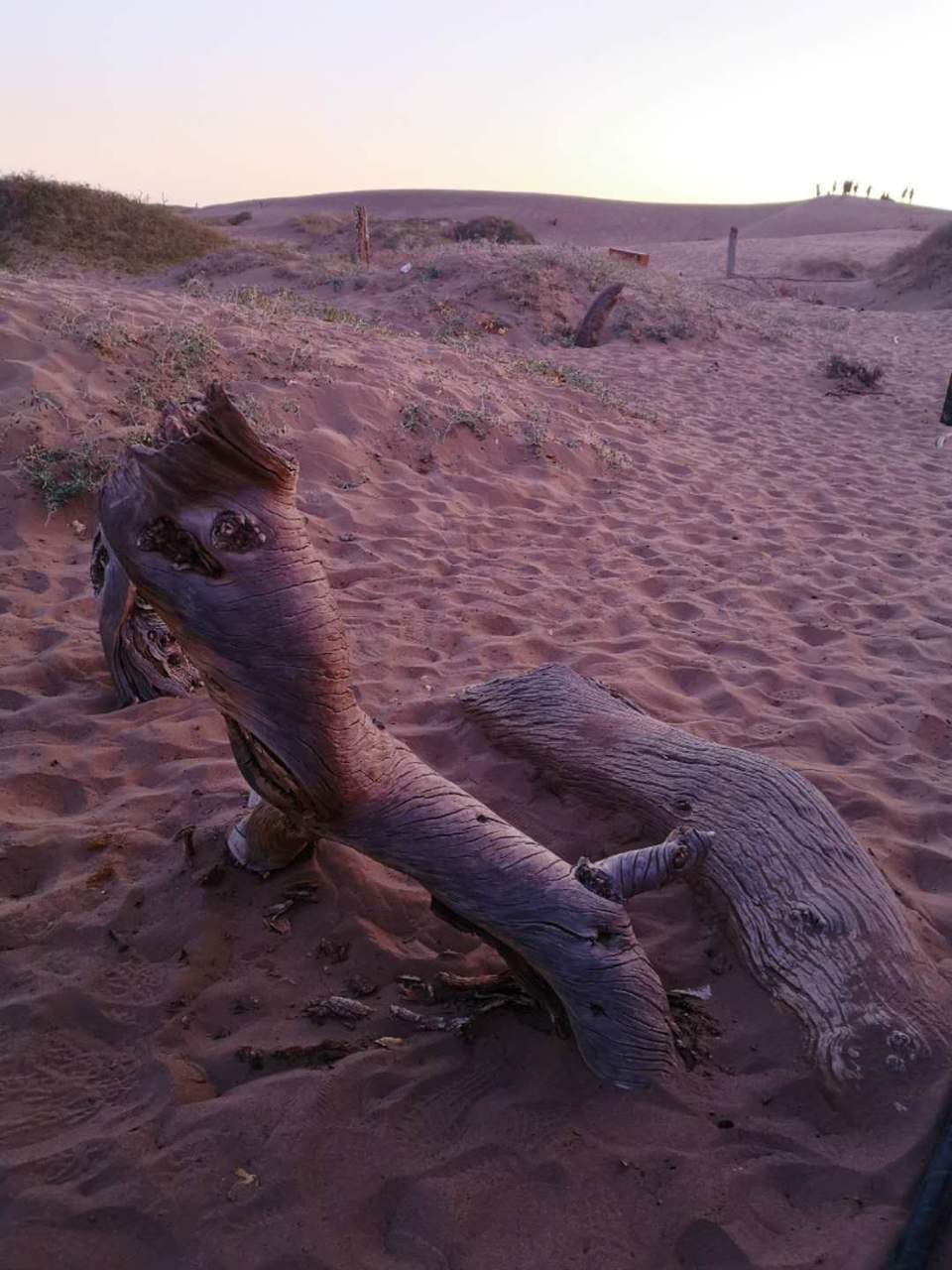 -F3dXXQhUEbhGYT7k9OGagbsL9GBUK4lan1VOwzfvFBjAPuzWWFzQFby7lFwbw4N