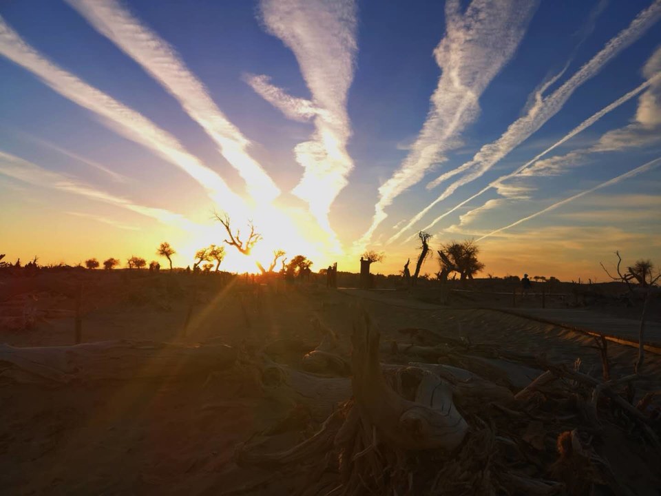 DBrZWLxdt-ol-GX9MZcQDrMnhN19dOePq5W_Wkeefyob0OfAcrzCa6ClNiDy60xL