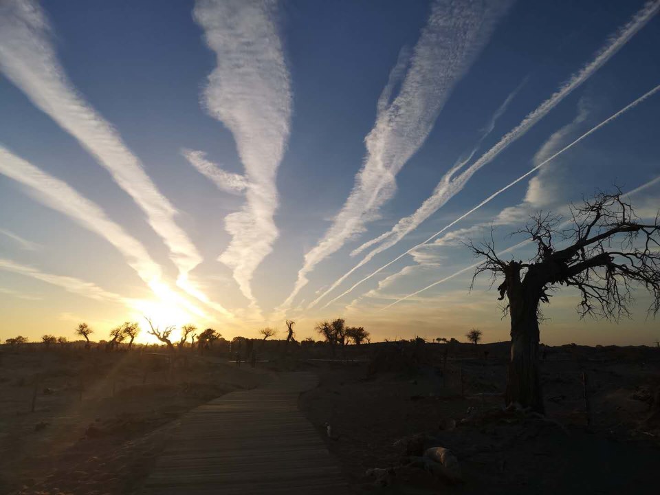 pYt6Z6xpl6cpvcpr6i81NdKKPAWM-O4yNXlkqSO0EJqlb2JUJtL8J7hEfRfAz402