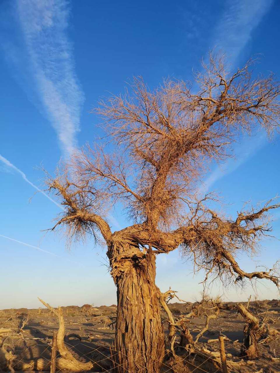 i2Aqw9a-j5se7fvPxDEBbZngkL--AO0hfEw99rxEpUlCWcuYViTZzP8dA64FYrPR