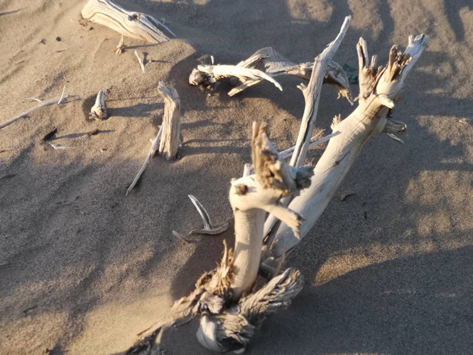 HV4CLNNy28aqY1mKdWcJ6xsmblQB5q-lAuZR2JNEPx6MRfm71YklmVFQ8iaHvlD8