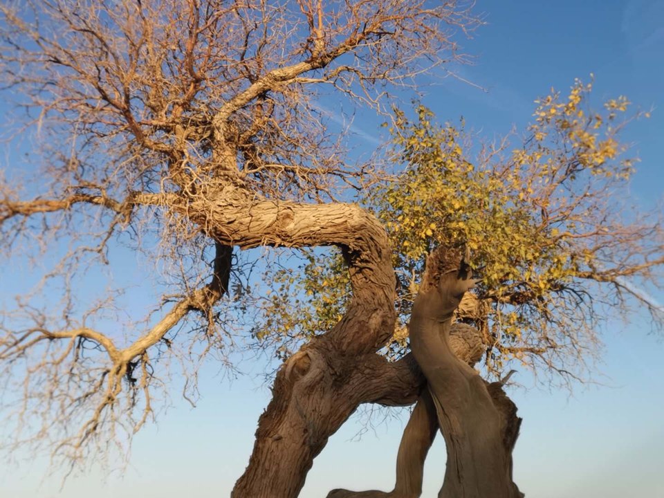 l8exyk2tJh8B9PQbKitNWMlLMiBBUYRlTr0B3mIfX_jrS5IaNnGhn0ooGKyIAuRi