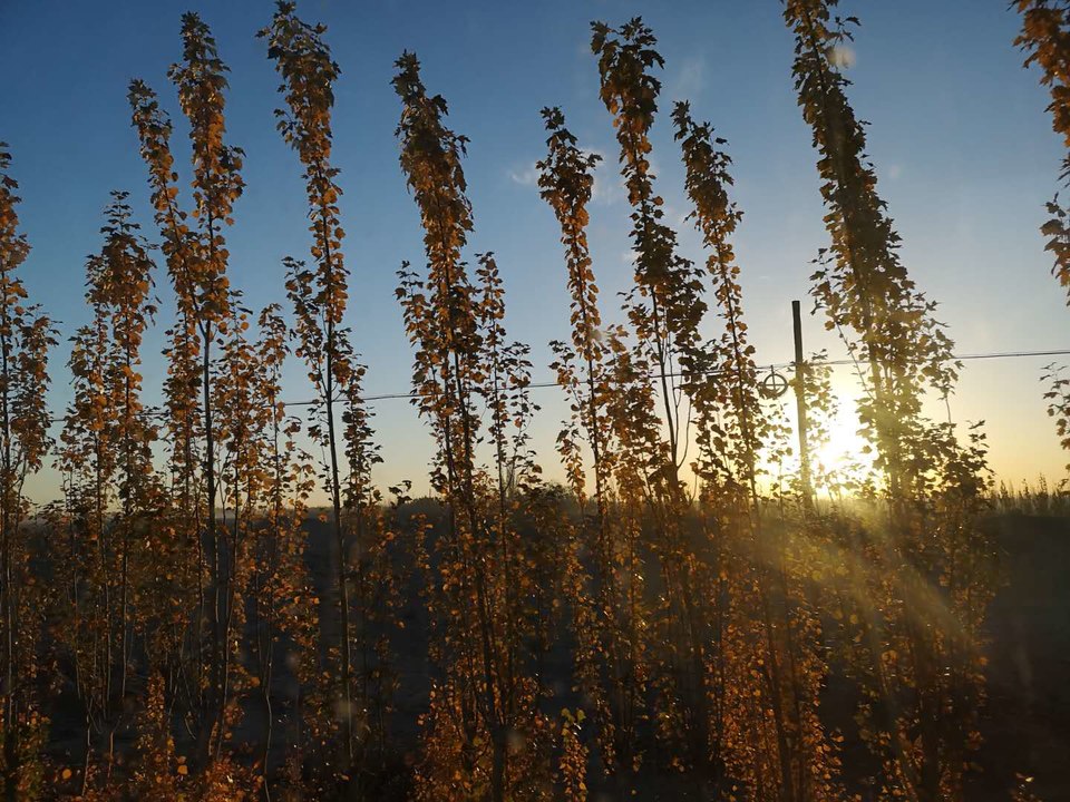 3Q9LhYoaEKi_SYA0F7qhn4bDvHgC4fugfJO9MT2a9fBBctQGBcNNCuYcPqj792Av