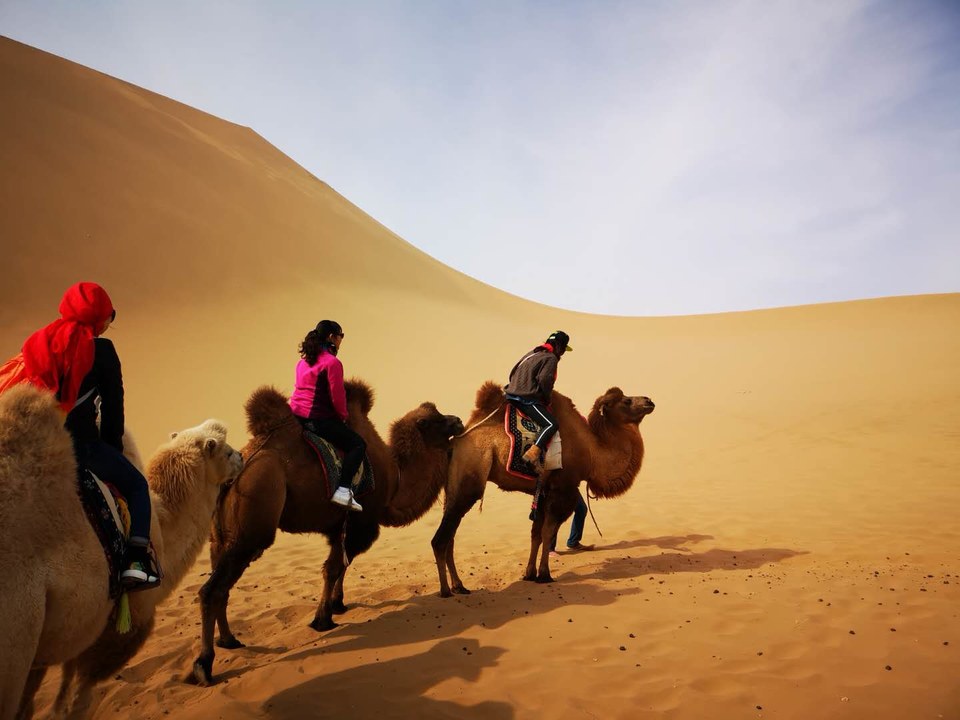 eyGjXotByLChIJXP8GTUQJiaOTAT-X6pPBSb-T_ztXaoFjMc1E2NbiaBKgjvI-My